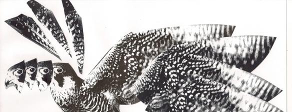 Cover Photo