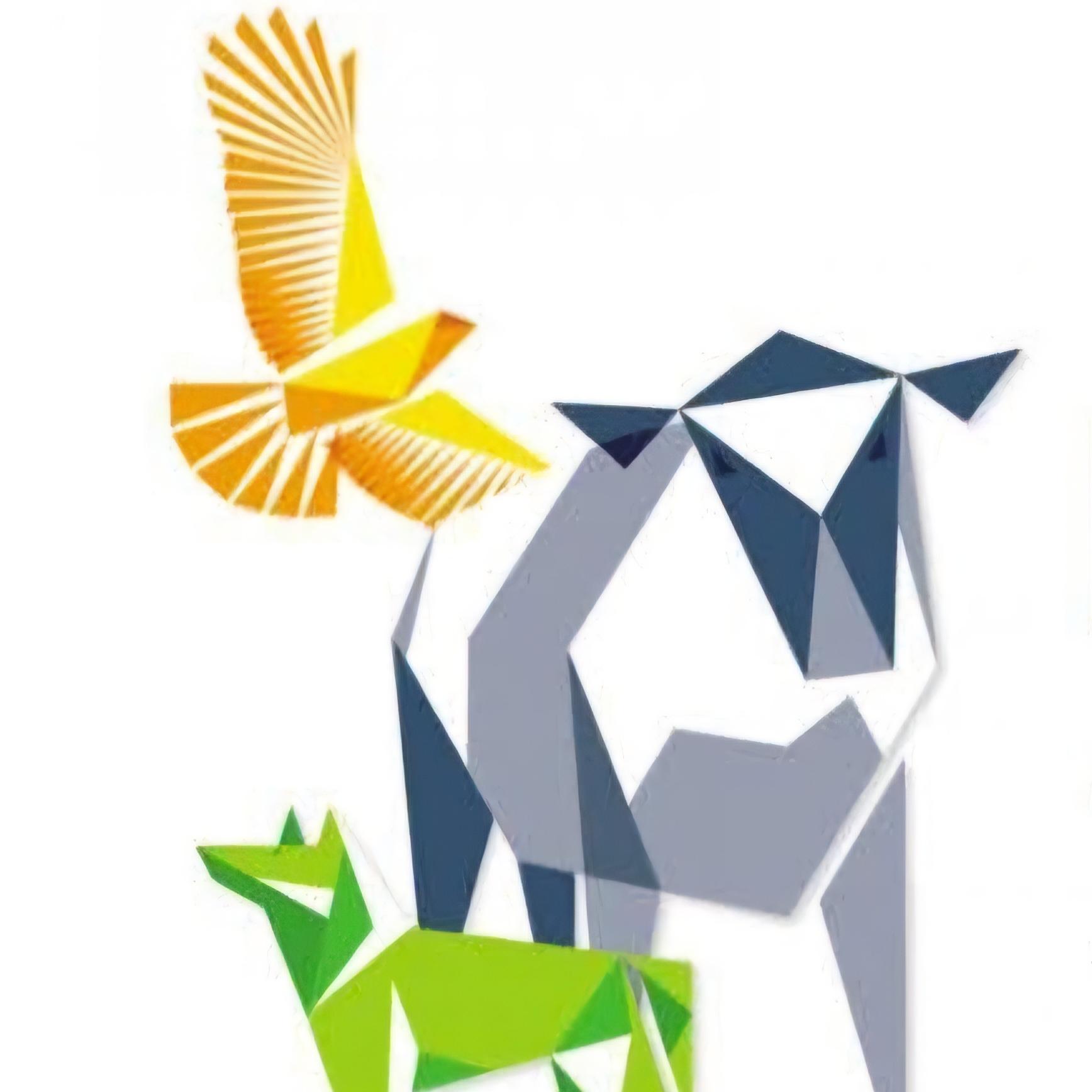 Logo Photo