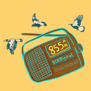 Logo Photo